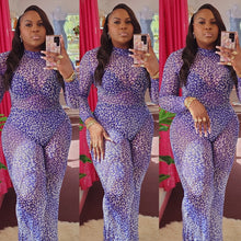 Load image into Gallery viewer, TEASE ME MESH PANT SET
